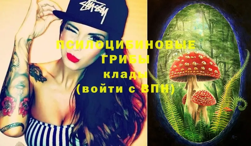 Галлюциногенные грибы Magic Shrooms  Долинск 